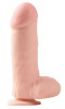 Big 7