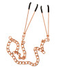 Nipple Clamps with Chain