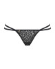  Pantheria thong 